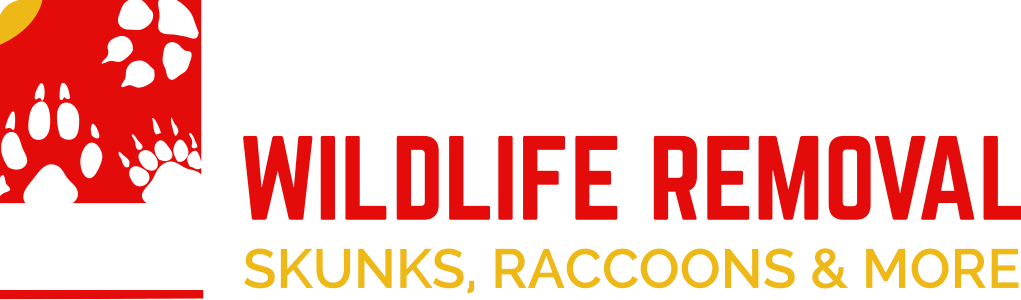 Lehigh Valley Wildlife Removal